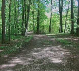 Rundwanderweg - Ottos Ruh