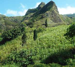 Cova-Ribeira da Torre-Paul Natural Park