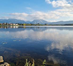 Hopfensee