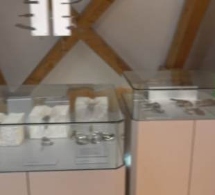Alpin-Museum