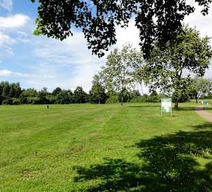Blick auf die Liegewiesen am See