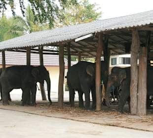 Окрестности Пая