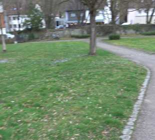 Friedhof Neckarhausen