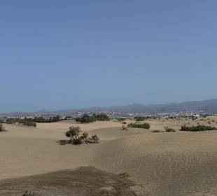 Dünen Maspalomas
