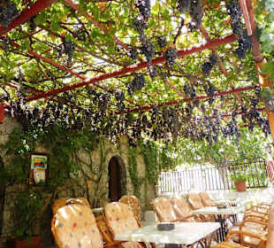 Cafe Bar Dreams