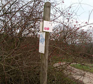 Kirschlandwanderweg in Schönenberg-Kübelberg