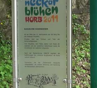 Burgruine Hohendießen Dießen
