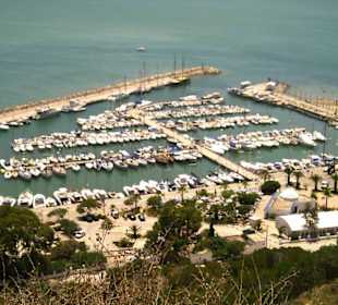 Prachtvoller Anblick