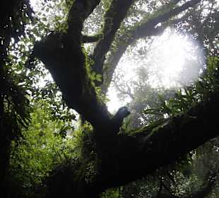 ...unheimliche Stille..