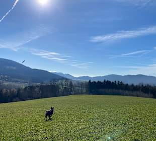 Wandern Neukirchen/Niederbayern