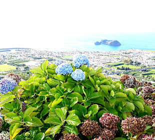 Vila Franca do Campo