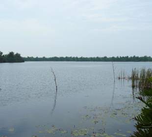 Diya Sisila - Blick auf den See