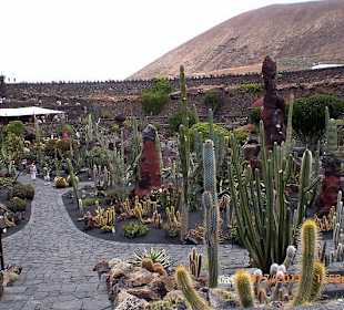 Blick auf den Garten