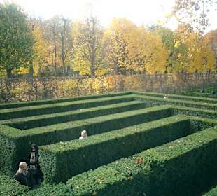 Irrgarten Schloß Schönbrunn