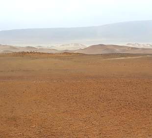 Nationalreservat Paracas