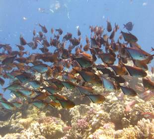 Ausflug mit Joseph&Marlen