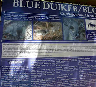 Aussichtspunkt Knysna