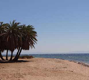 Dzika plaża za hotelem Happy Life Village