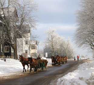 Pferdeschlitten in Oberhof