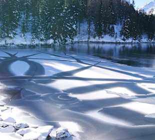 Der Turrachsee mit Kunstwerk