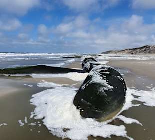 Weststrand Norderney