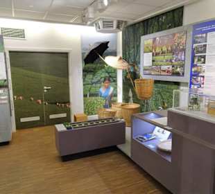 In den Räumen des Teehandels