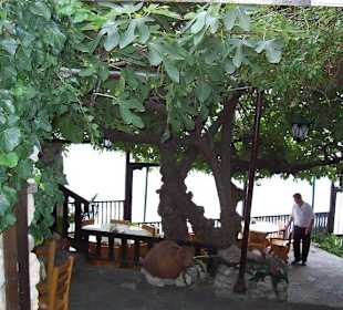 Gemütliche Kneipe in Alt-Nessebar