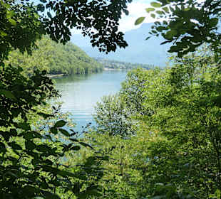 Bei einer Wanderung rund um den Levicosee