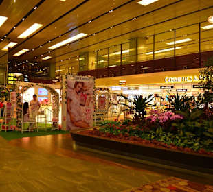 Flughafen Singapur Changi (SIN)