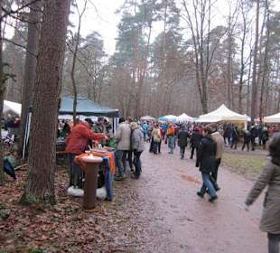 Waldbasar in Dudenhofen