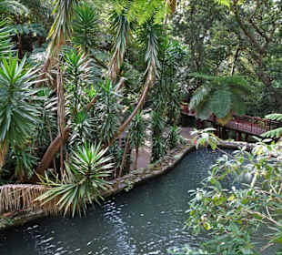 Impressionen vom Weg durch den Monte Palace Garden