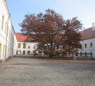 Das Schloss