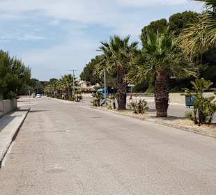 Wandern Can Picafort