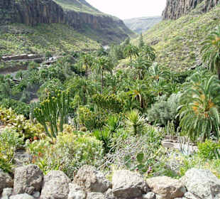Ausblick über den Palmitos Park