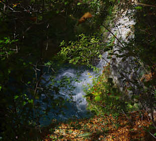 Горный нацпарк Истоки реки Уредерра, Наварра