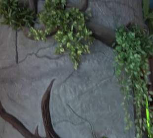  Lego X-Treme - Legoland Atlantis by SEA LIFE