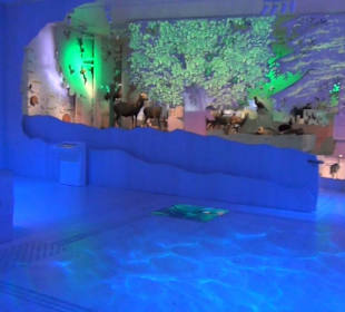 Nationalparkzentrum Haus der Berge