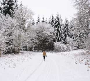 Wanderung Sellin-Binz