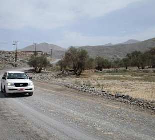 Safari nach Jebel Harim 