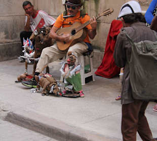 Straßenmusikant