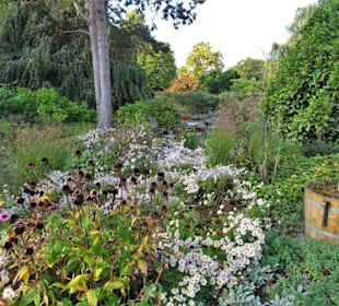 Rundgang durch das herbstliche "Planten un Blomen"