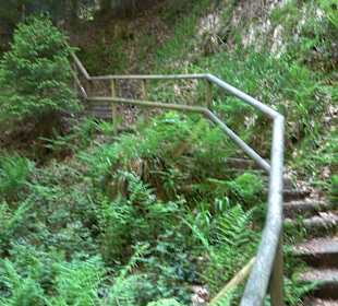 Teufelskanzelsteig Bad Griesbach