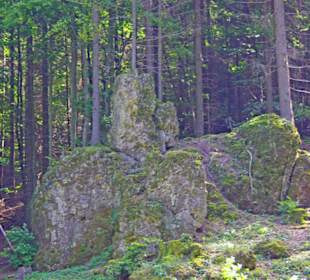 Der Therapeutische Wanderweg