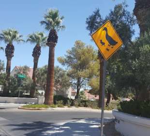 Las Vegas Stadtrundfahrt