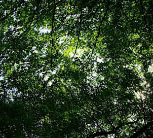 Wanderung zum Bärenfels