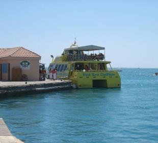 Ausflug mit der Red Sea Dolphin (Glasbodenboot)