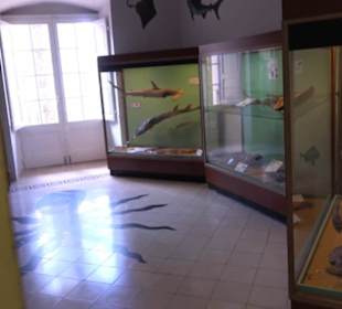 Naturhistorisches Museum