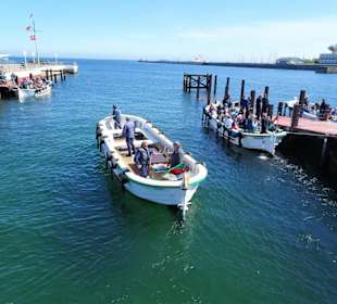 Impressionen von der Helgoländer Börte