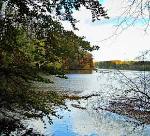 Парк Замка Ойтин.Золотая осень.