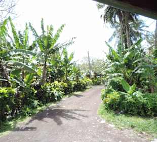 Mit Sunset Express in Pago Pago unterwegs
